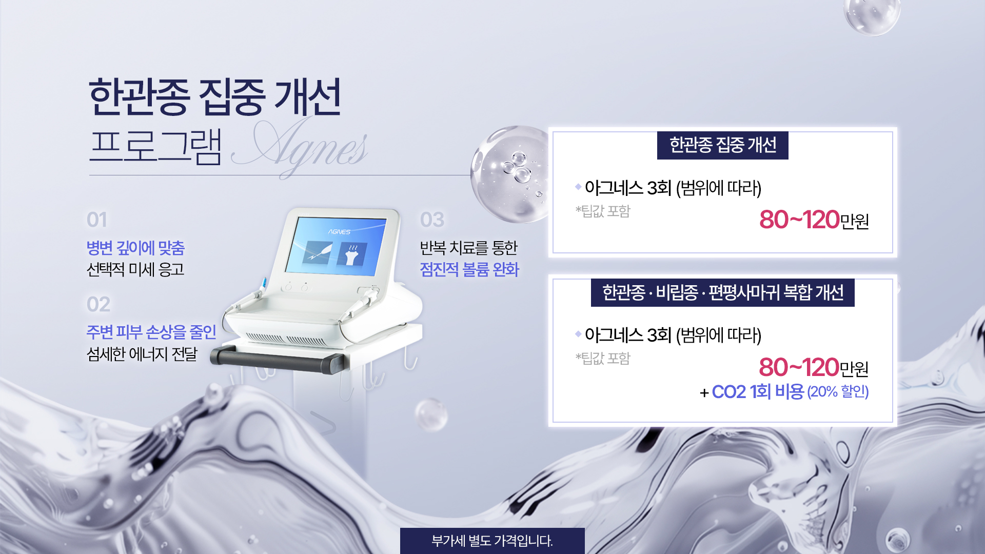 한관종 아그네스