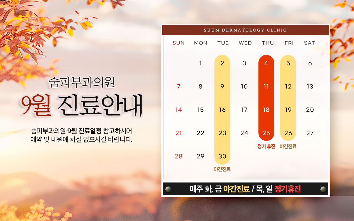 9월 진료안내