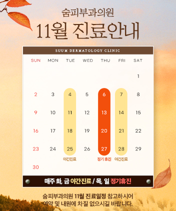 11월 진료안내문