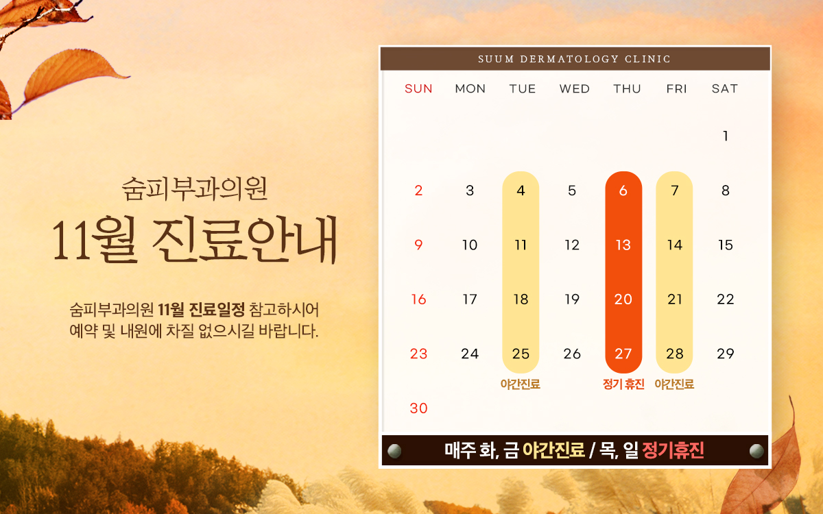 11월 진료안내