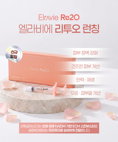 리투오 도입