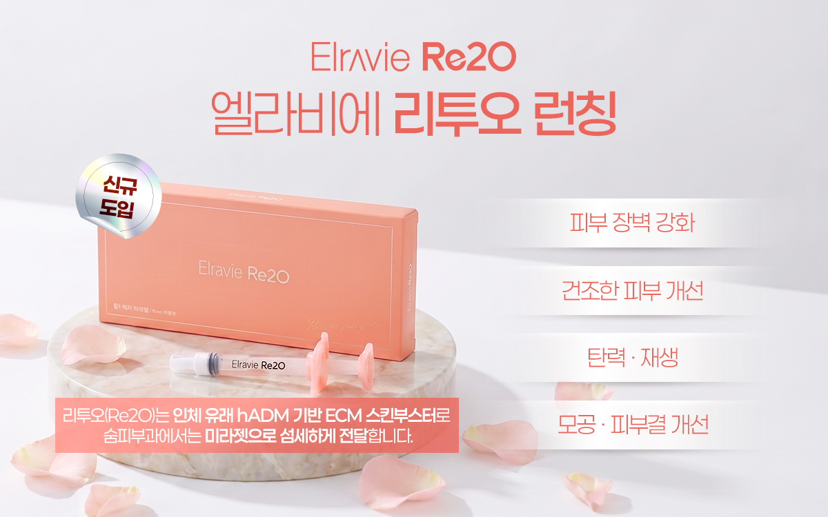 리투오 도입